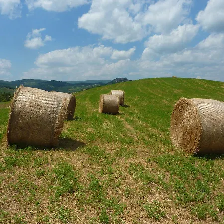 Campitelli