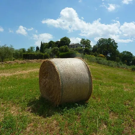 Campitelli *